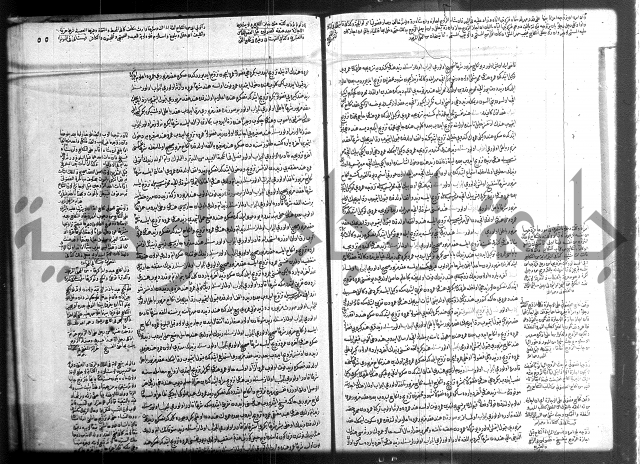 مجموع فقة بالتركية 