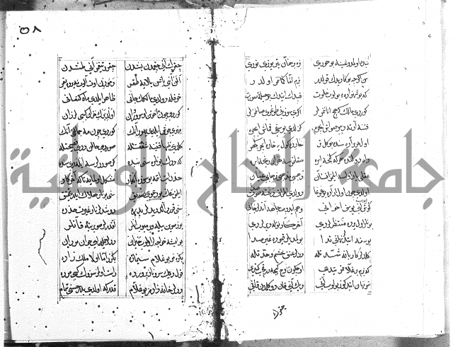 كتاب يوسف زليخا المؤلف 