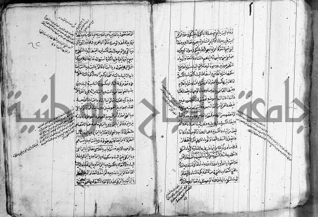 فوائد على الكافية 