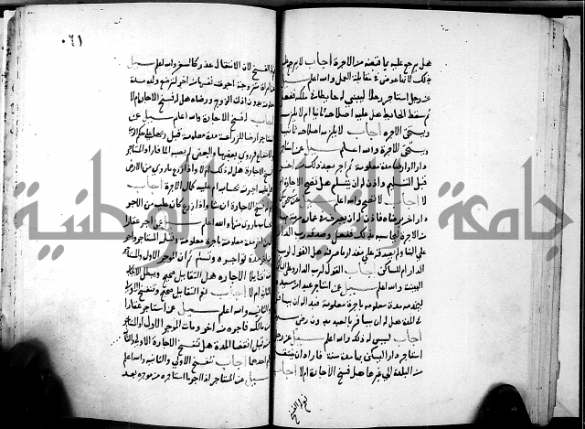 الفتاوى الامينية