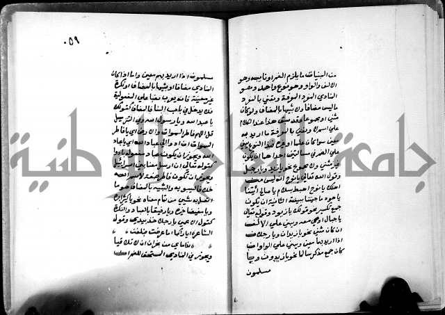 شرح شذور الذهب في معرفة كلام العرب 