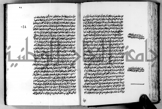 الجواهر الدورية في تنقيح الفتاوى الحامدية ج2 