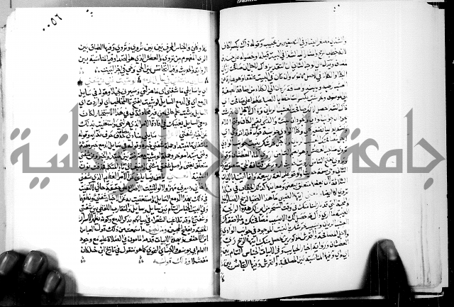 البحر الفائض في شرح ديوان ابن الفارض البوريني 