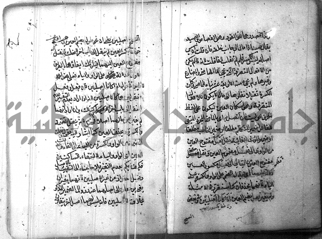 التفنن في الصرف