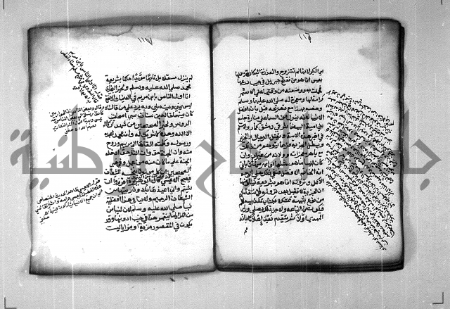 شرح الهمزية  