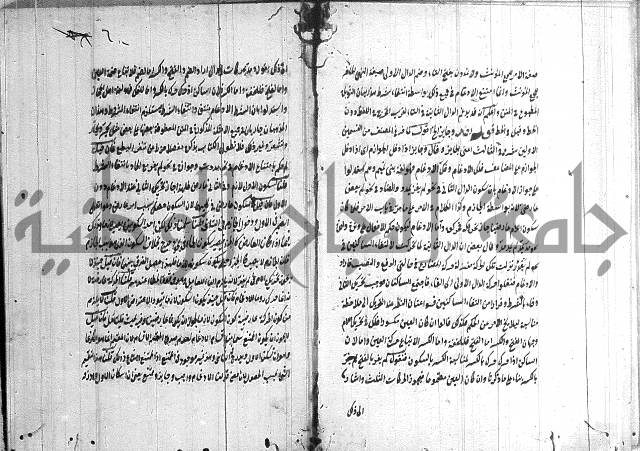 القمرية في الرسائل الصرفية 