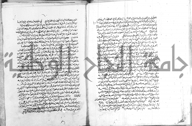 كتاب في اللغة العربية