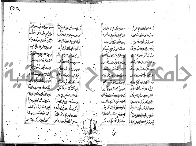كتاب يوسف زليخا المؤلف 