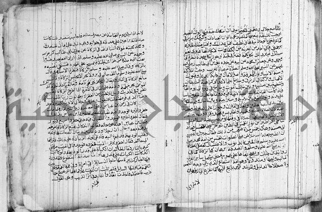 المجالس السنية