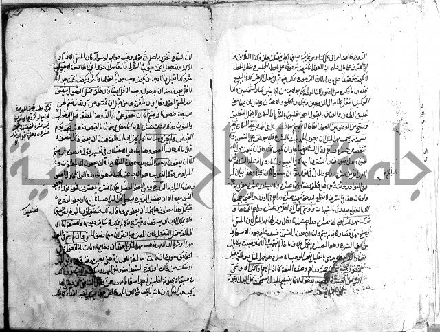 مجمع البحرين