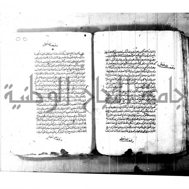 شرح شذور الذهب لابن هشام