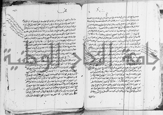 الزيادي على المنهج 