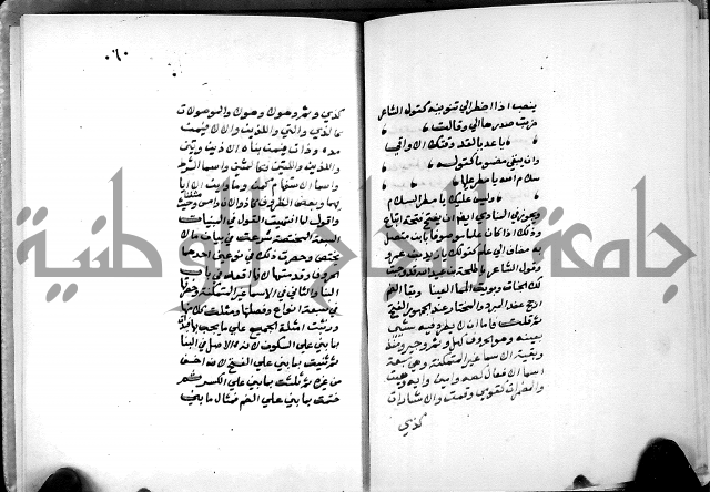 شرح شذور الذهب في معرفة كلام العرب 