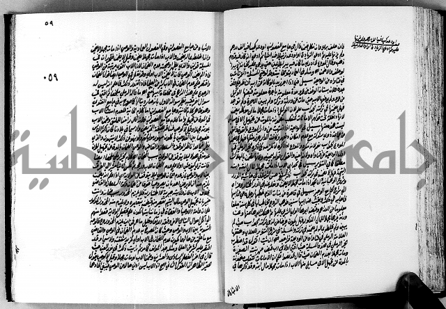 الجواهر الدورية في تنقيح الفتاوى الحامدية ج2 