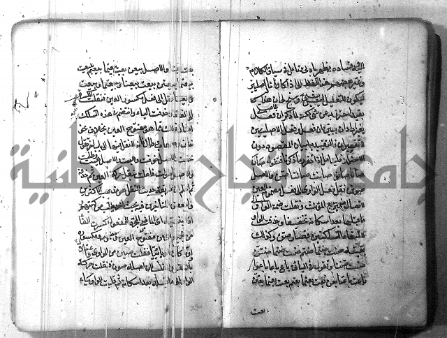 التفنن في الصرف