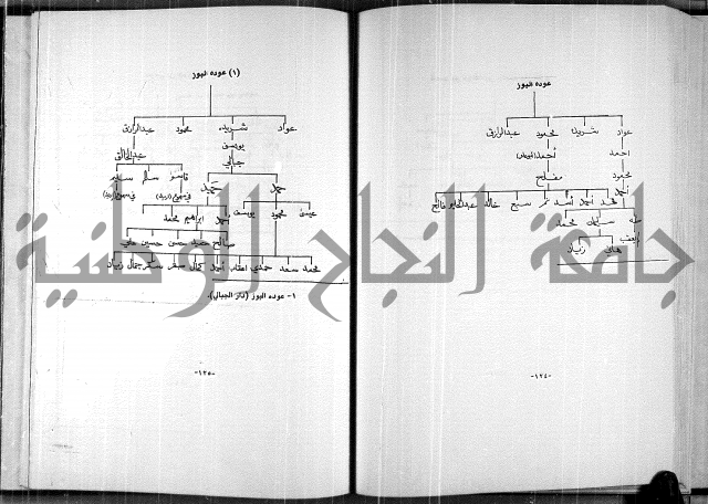  المرجع في انساب عشيرة الدويكات 