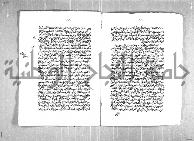 حاشية السجاعي على شرح قطر الندى وبل الصدى لابن هشام