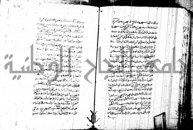 منية المصلي للنصراوي