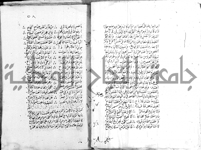 كتاب في الادب 