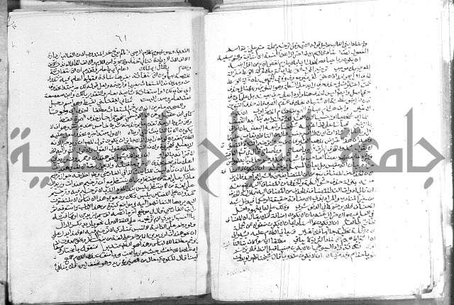 كتاب في اللغة العربية