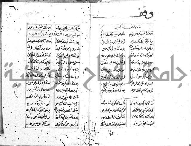كتاب يوسف زليخا المؤلف 