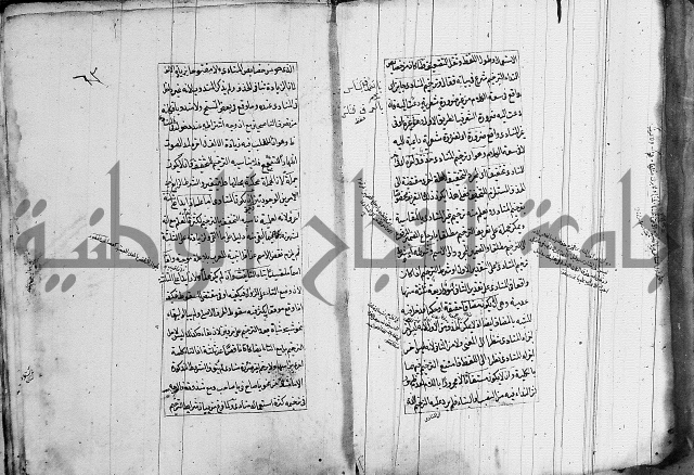 فوائد على الكافية 