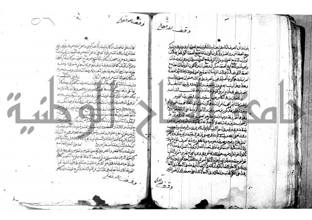 شرح شذور الذهب لابن هشام