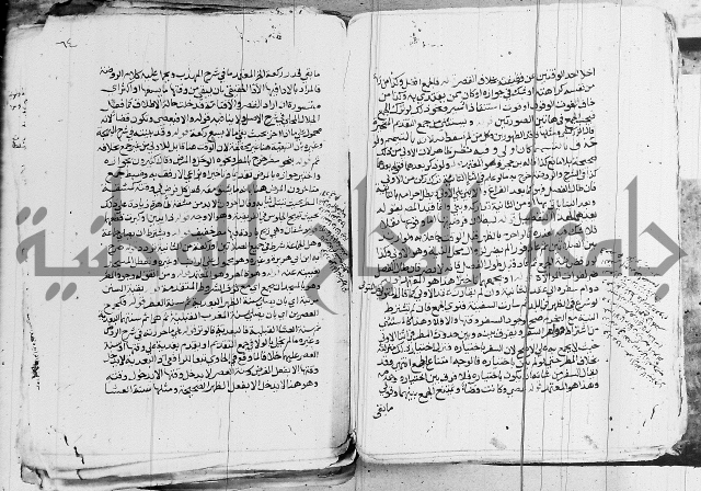 الزيادي على المنهج 