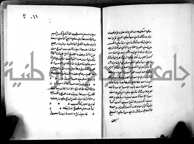 شرح شذور الذهب في معرفة كلام العرب 