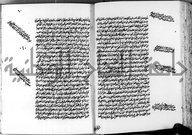 الجواهر الدورية في تنقيح الفتاوى الحامدية ج2 