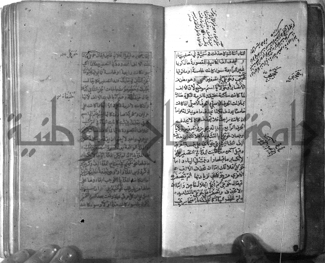 شرح الشافية 