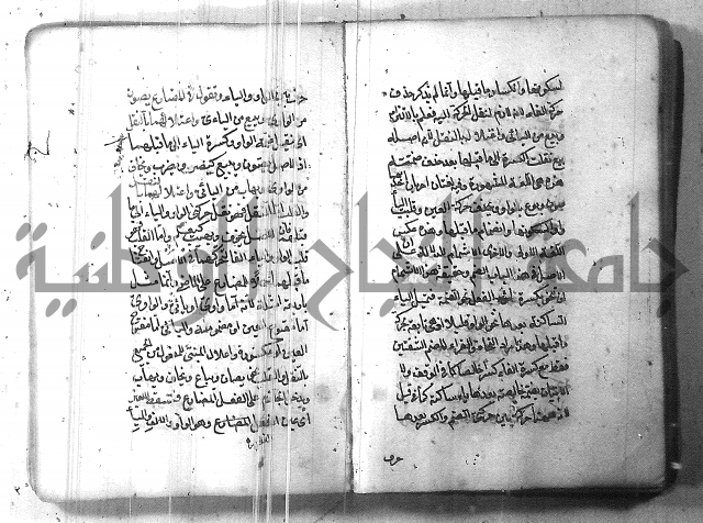 التفنن في الصرف