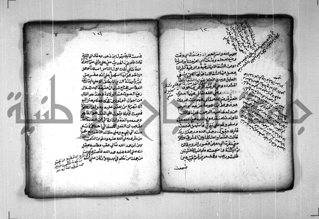 شرح الهمزية  