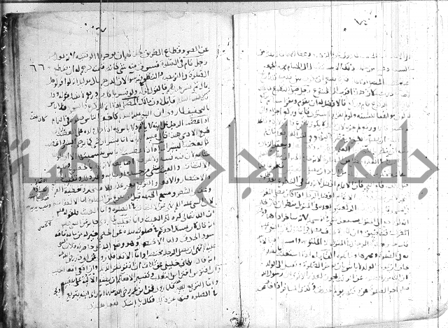 الفتاوى الولوالجية  