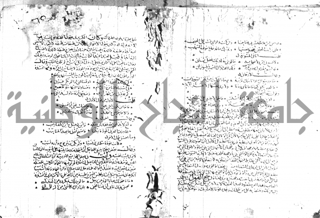 شرح لامية العجم 