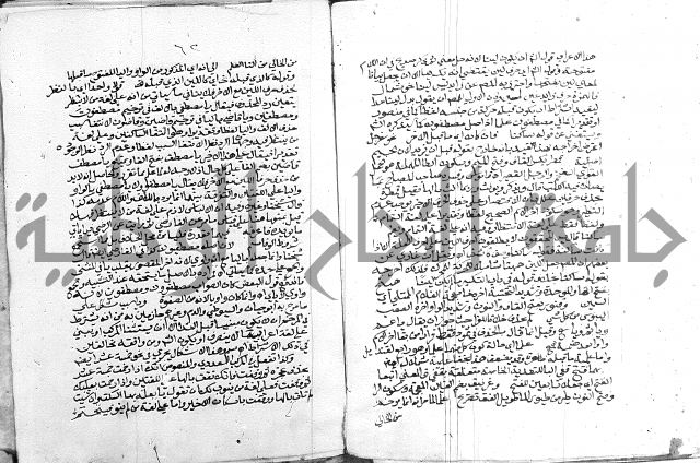 كتاب في اللغة العربية