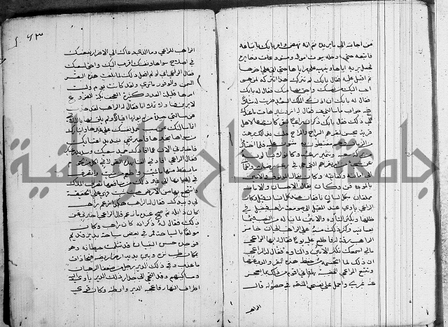 سلوان المطاع في عدوان الأتباع 