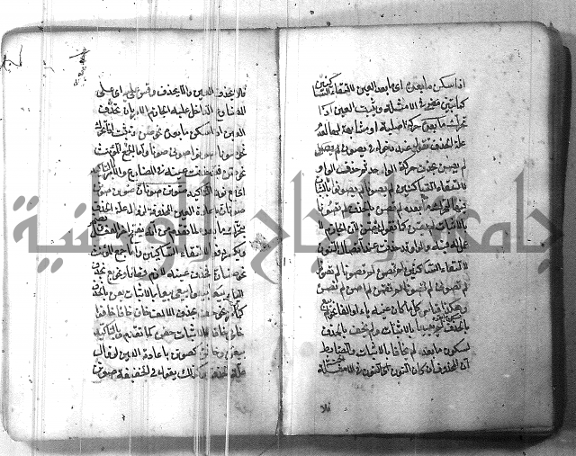 التفنن في الصرف