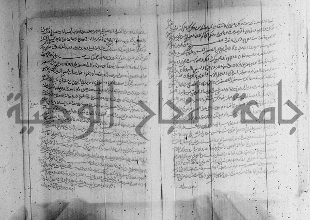 البسيط في الشروط