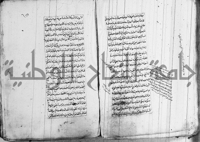 فوائد على الكافية 