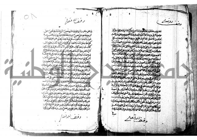 شرح شذور الذهب لابن هشام