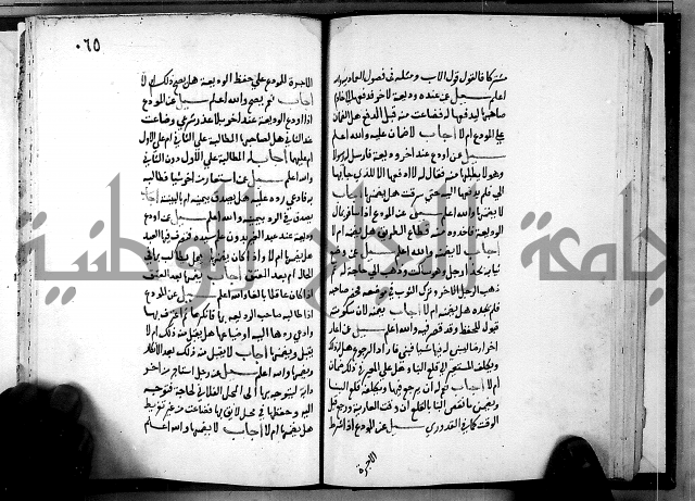 الفتاوى الامينية