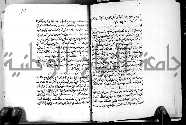 البحر الفائض في شرح ديوان ابن الفارض البوريني 