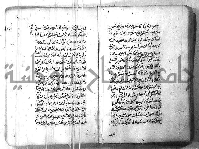 التفنن في الصرف