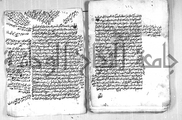 فتح الجليل  على شرح ابن عقيل 