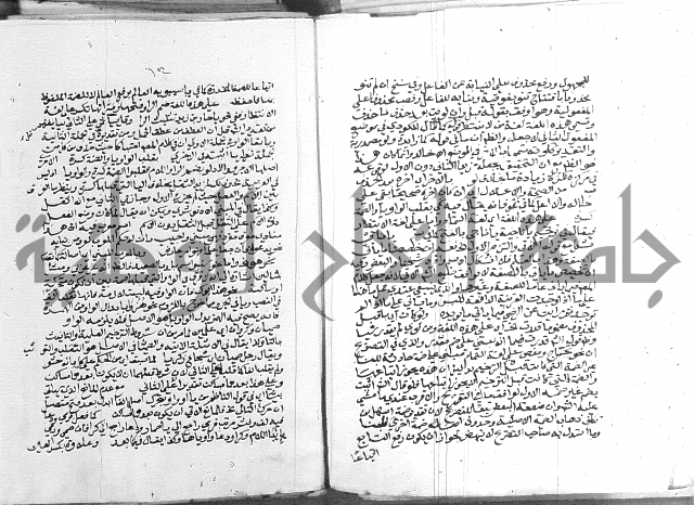 كتاب في اللغة العربية