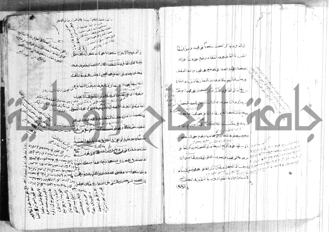 ضوء في علم النحو