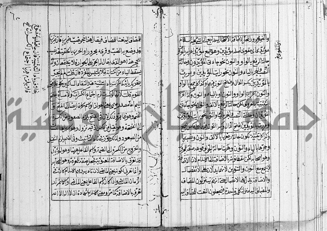 شرح الديباجة