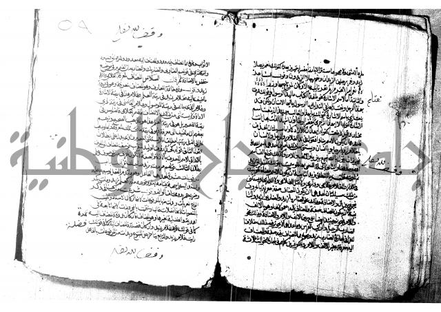 شرح شذور الذهب لابن هشام