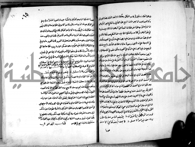 الدرة السنية بشرح الفوايد الفقهية 